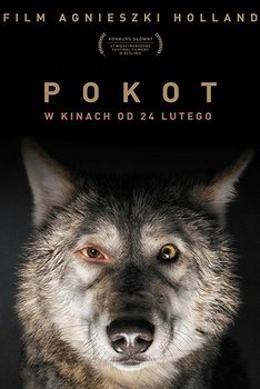 İz – Pokot 2017 izle